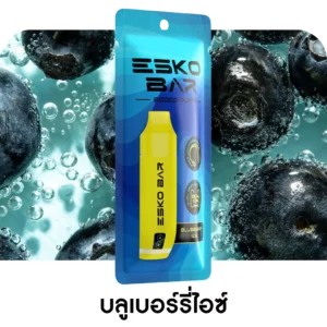 ESKO BAR 20000 Puffs Blueberry Ice