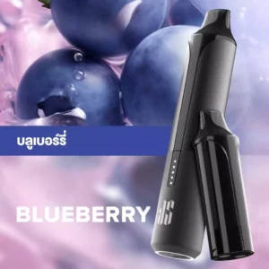 Ks Quik Pro 15000 Puff Blueberry starter Kit